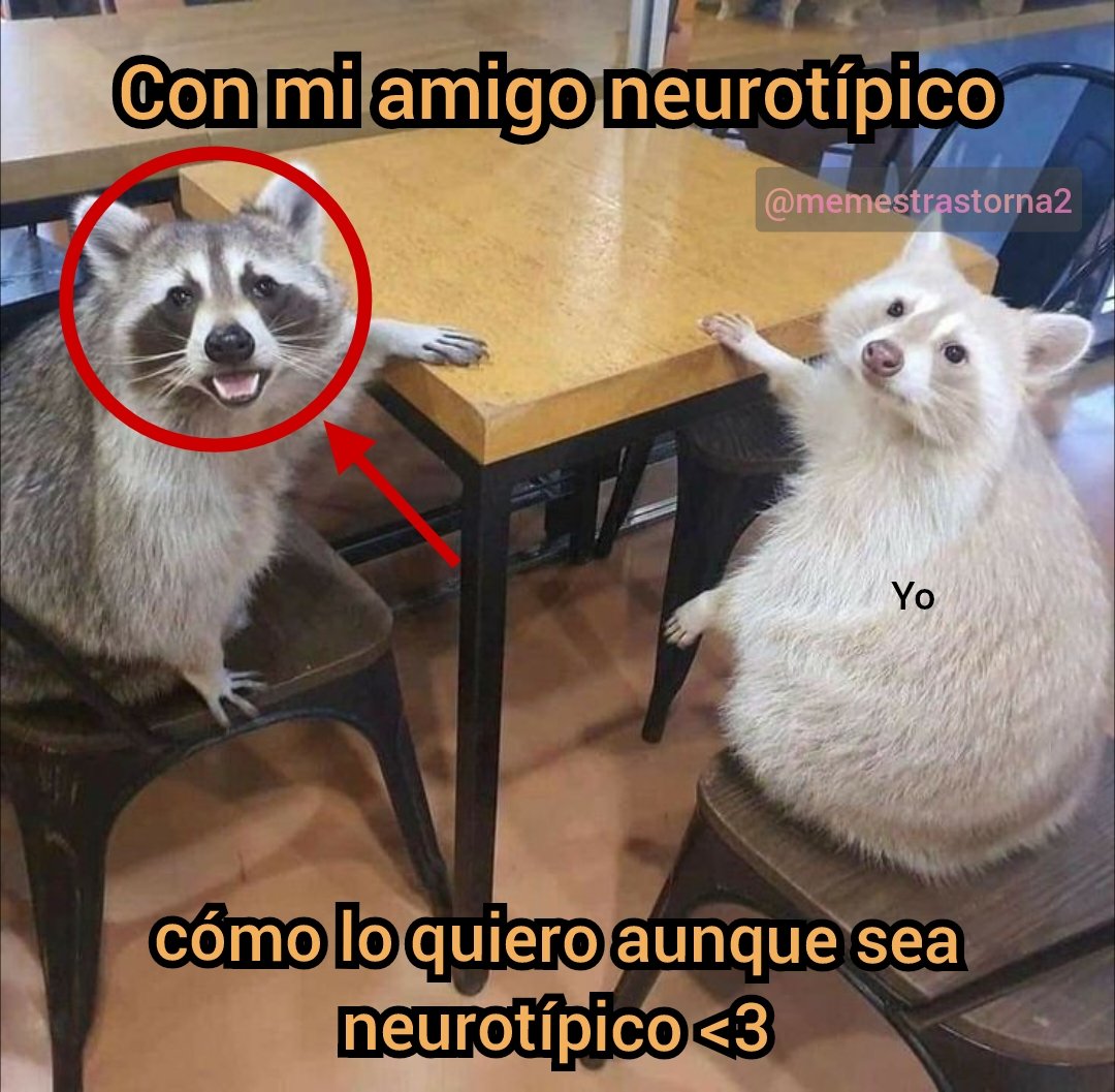 Memes Trastornados (@memestrastorna2) on Twitter photo 
