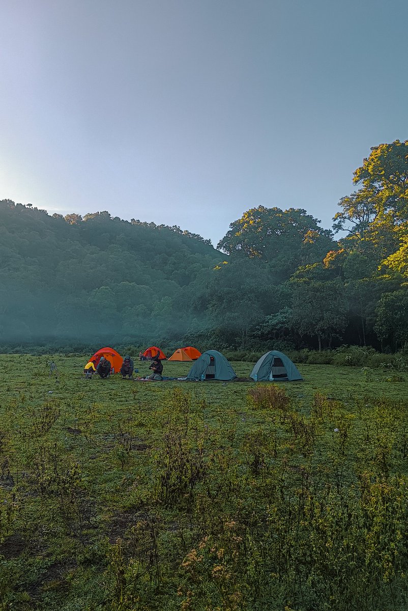 sekawanbunga's tweet photo. Savana Dandaun 🍃
#TahuTahuCampingIndonesia
#TripBySekawanBungaandJunior
#ExploreLombok
#WonderfullIndonesia https://t.co/WiIy88DeM4