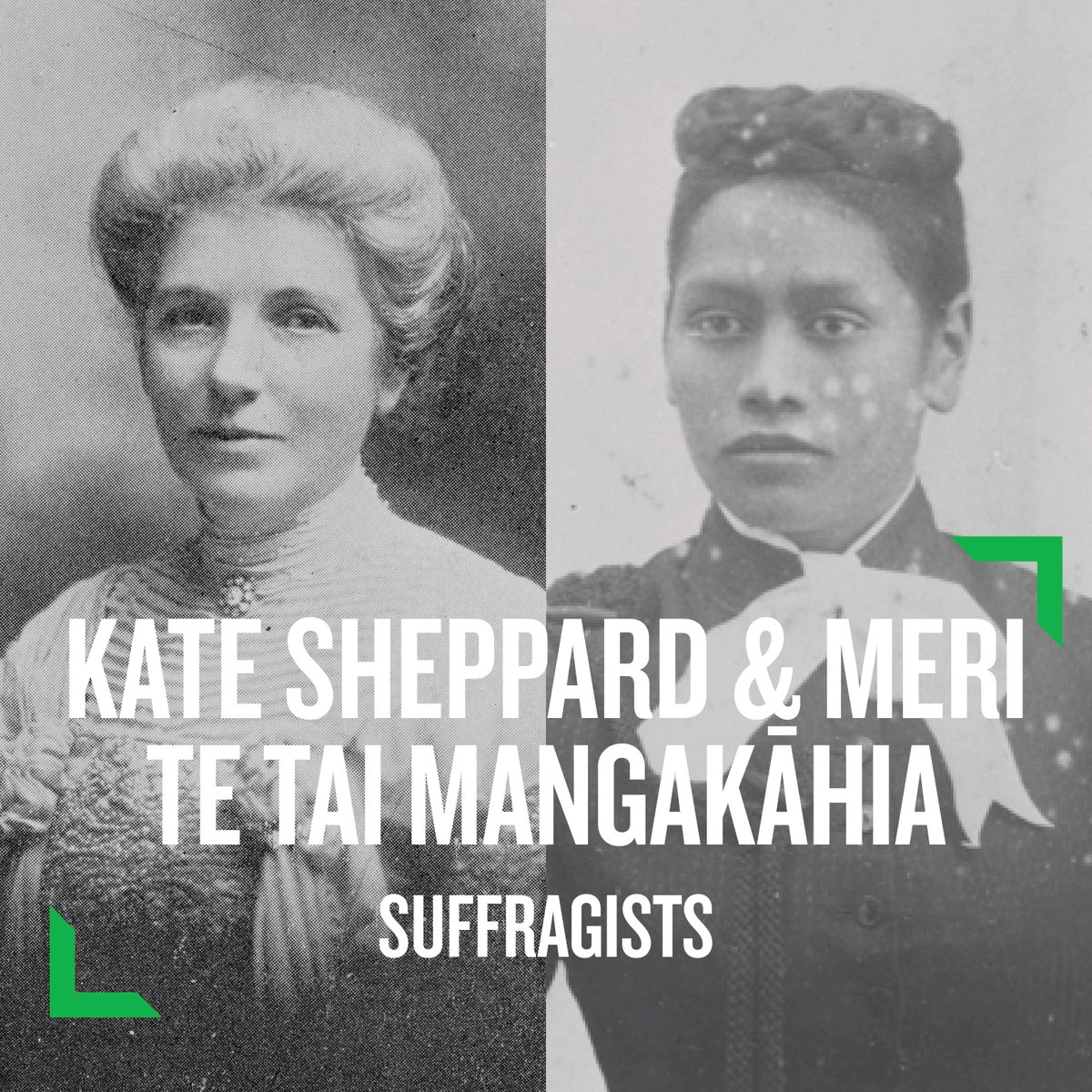 Women's Vote: New Zealand's Democratic Movement