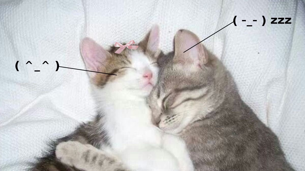 us<3