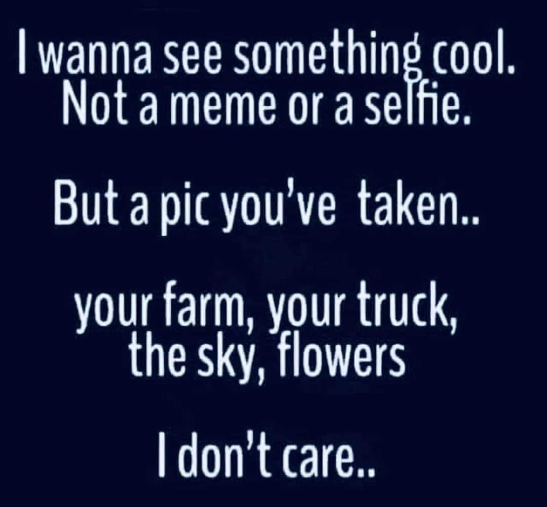 David Wolfe tweet media