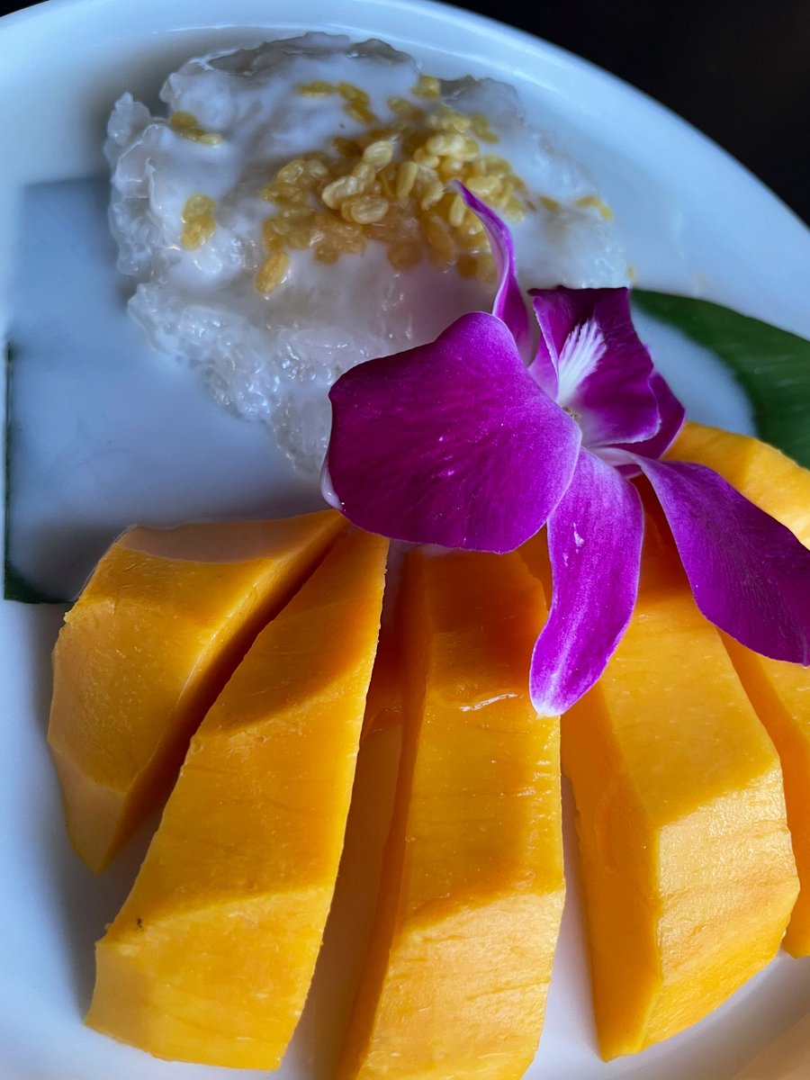 eatinglasvegas's tweet photo. If ever they give a Nobel Prize for dessert deliciousness, it would be hard to deny Mango Sticky Rice as the  first winner. 🇹🇭🥭🍚😋
#Lamoon #SpringMountainRoad
@EatTalkRepeat https://t.co/Hd5ylalR8E
