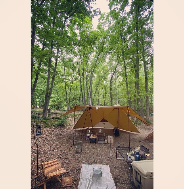 そろそろ私の林間サイトシーズンは終了する季節になってきたようです( ；∀；)

#林間サイト
#奥琵琶湖キャンプ場
#森林浴
#マイナスイオン
#猿が出るキャンプ場
#キツツキのいるキャンプ場