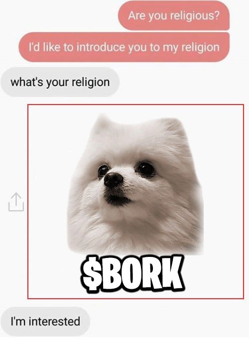 Join the cult - t.me/borkgate