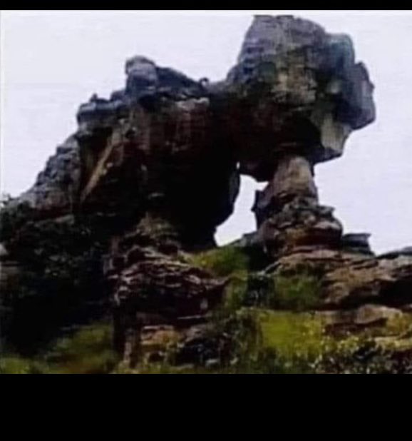 Suck it Kampala!!! <a href="/AgtThereal/">therealAGT</a>