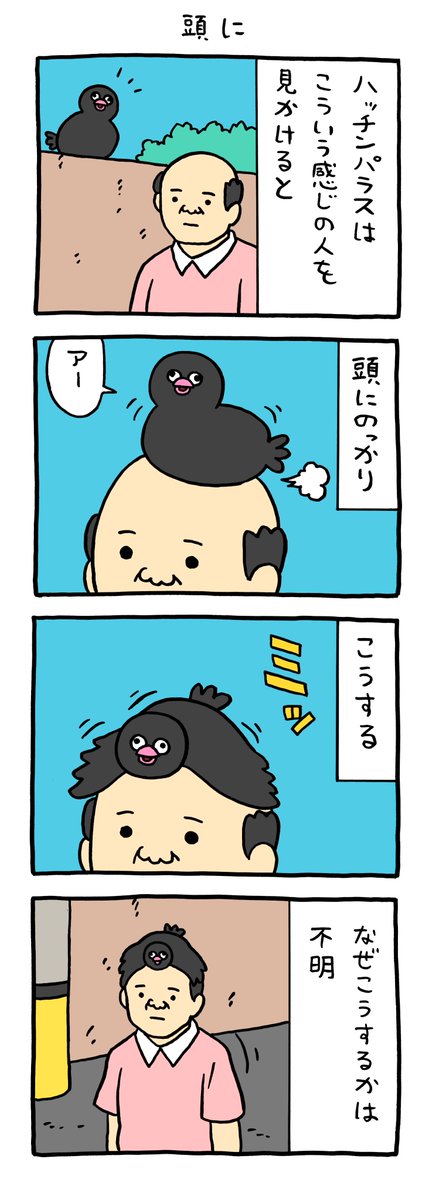 絶滅寸前の鳥ハッチンパラス「頭に」 https://t.co/6McFXyxhcd 