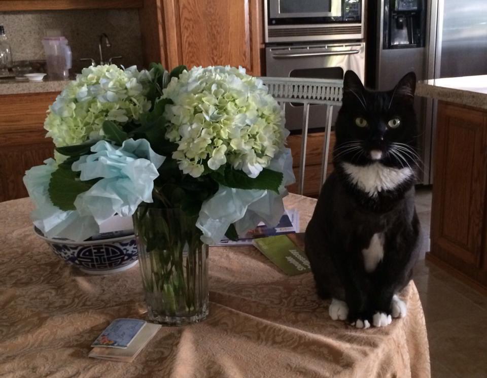 Admiral Baker tweet media