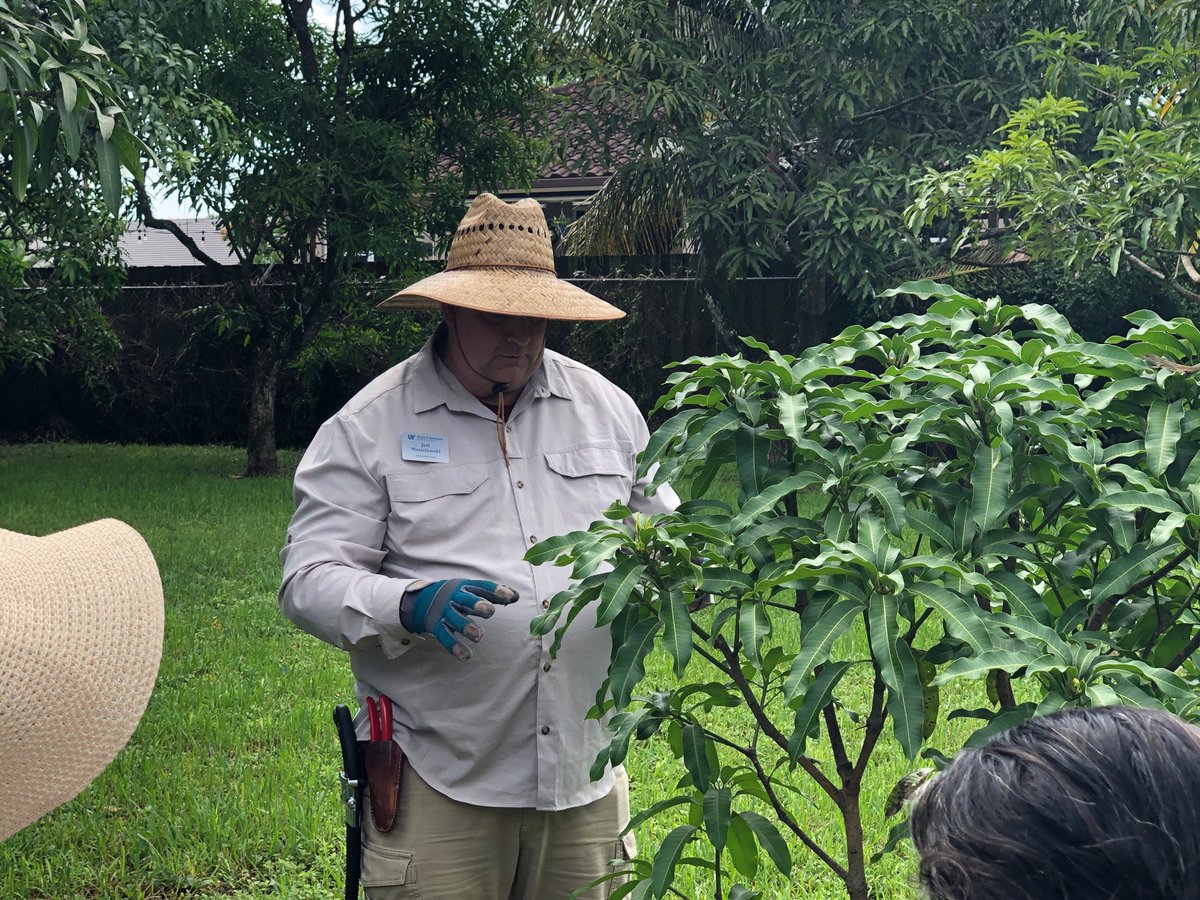 G. R. Edwin tweet media