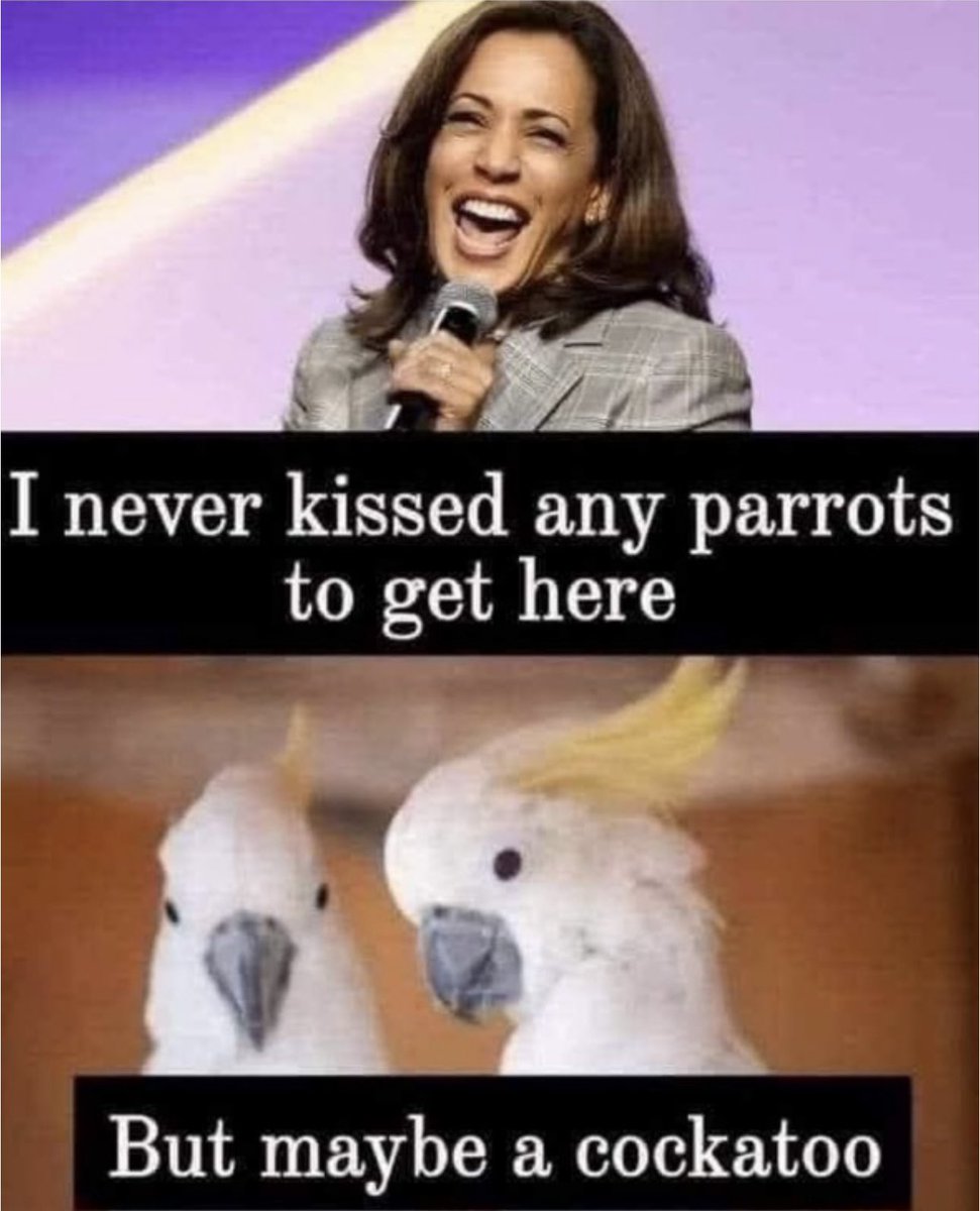 blumermichael1's tweet image. 