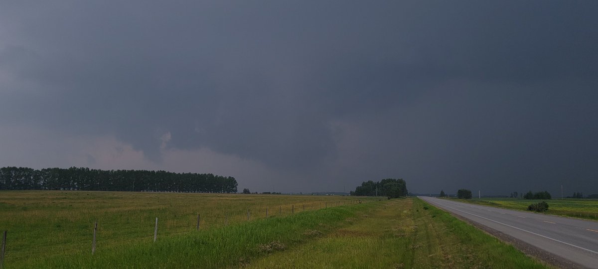 Maverick Storm Hunters tweet media