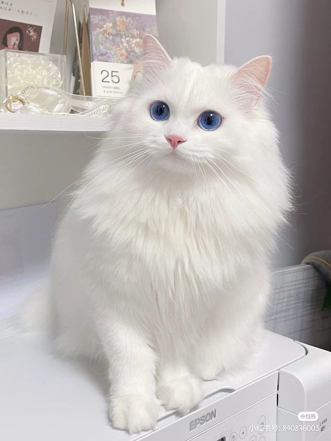 DropSuper's tweet image. #PlumeTestnet x.com/plumenetwork/s…