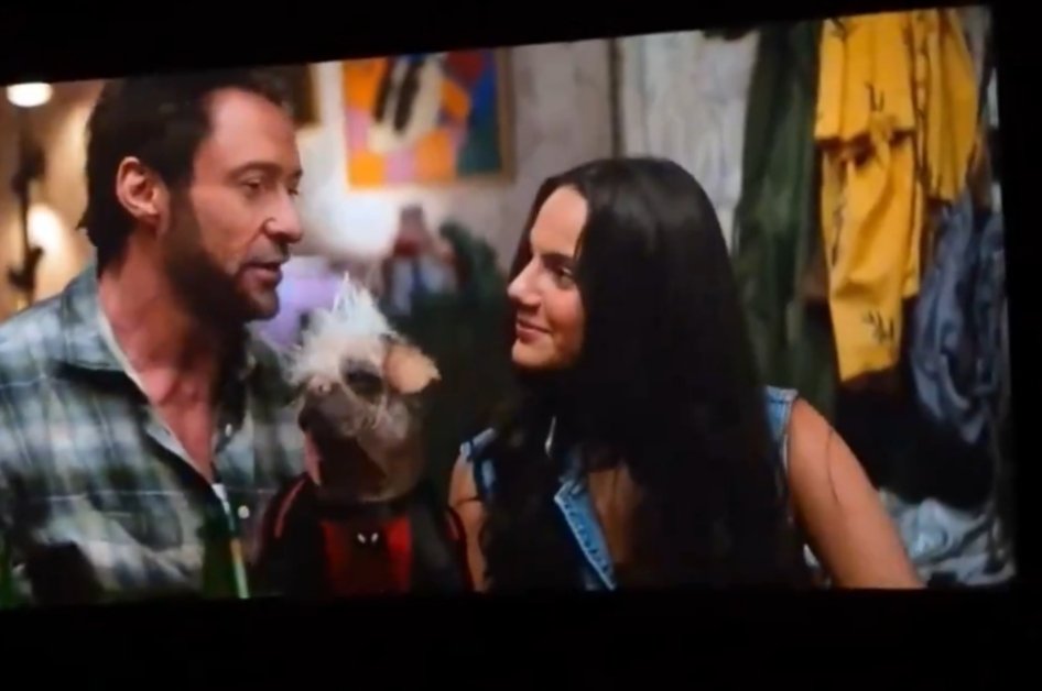 Ricazmer's tweet photo. Logan and Laura reunites in Deadpool and Wolverine at climax 😭😳🤩.
.
.
.
FOLLOW AND DM FOR THIS SCENE.
.
#DeadpoolAndWolverine #logan #leaks #Spoilers #Deadpool #Wolverine https://t.co/KBgYYXzvmL