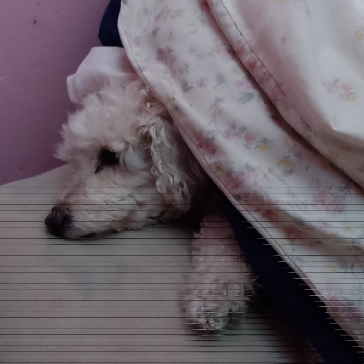 miren mi nena me esperaba lista para dormir