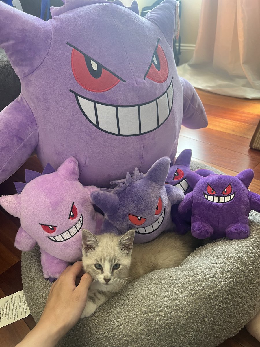 ambie_o7's tweet photo. @PokemonGems twinnemmmnm 🤞🏻 https://t.co/PSleQRzv6J
