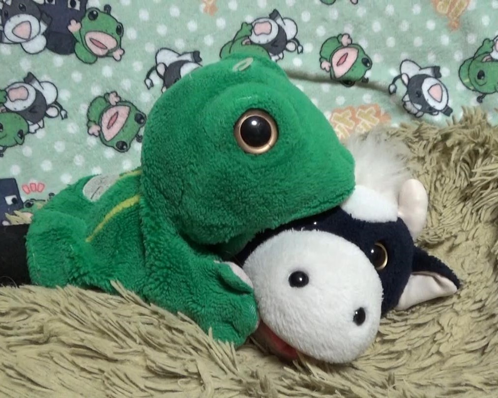 本日は土用の丑の日。
『う』のつく食べ物といえば、うしくん！
🐰今日は土用の丑の日だよ

#土用の丑の日