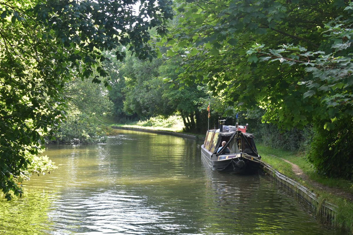 One of my followers,  near Marsworth.