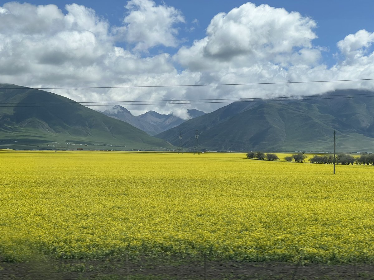 Ukraine  🇺🇦🇺🇦🇺🇦！