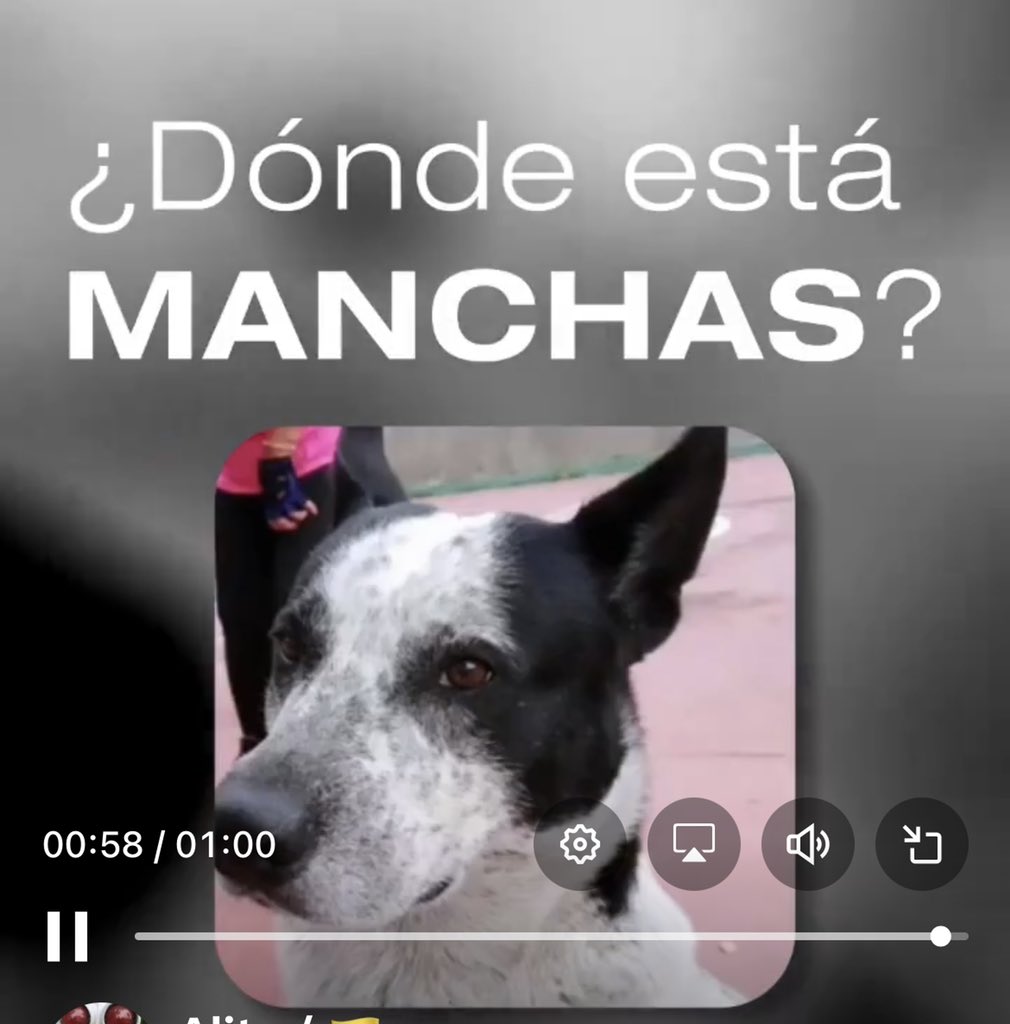 CarmenZR04's tweet photo. #Farmatodo https://t.co/8bfQvnzD83