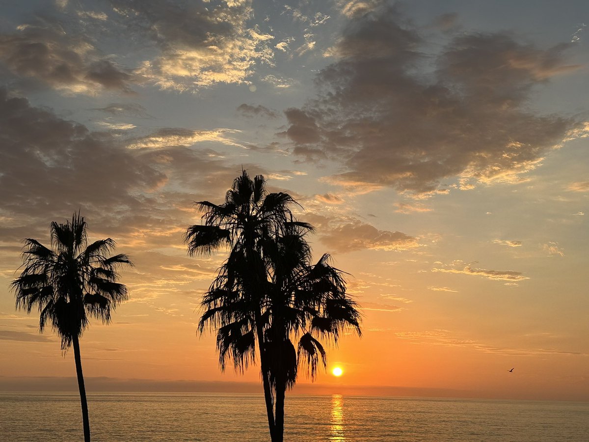 tster828's tweet photo. @jspector Wow!  Thank you so much. YOU inspired me to push myself. Loving La Jolla. Thanks for the tip! https://t.co/U7dGq1gAPW