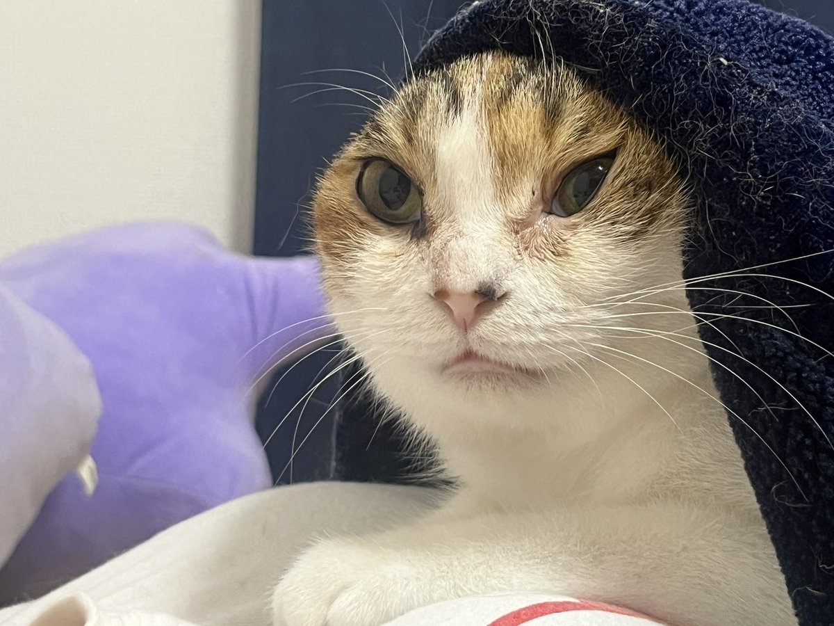 SncH9p3's tweet photo. 夏休みながくね？
あと、エアコン効き過ぎて寒いし🥶 https://t.co/vYmRJQkMfQ
