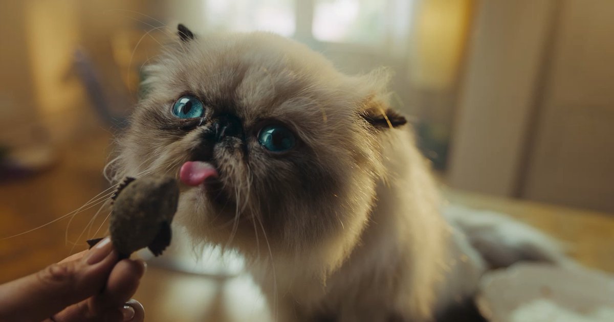 mrpatrickschmitt tweet media