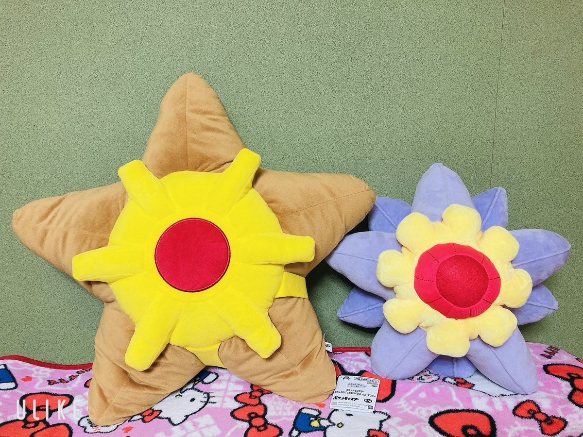 欲しかったヒトデマンのぬいぐるみをGETしました！😆👏 昔から我が家に