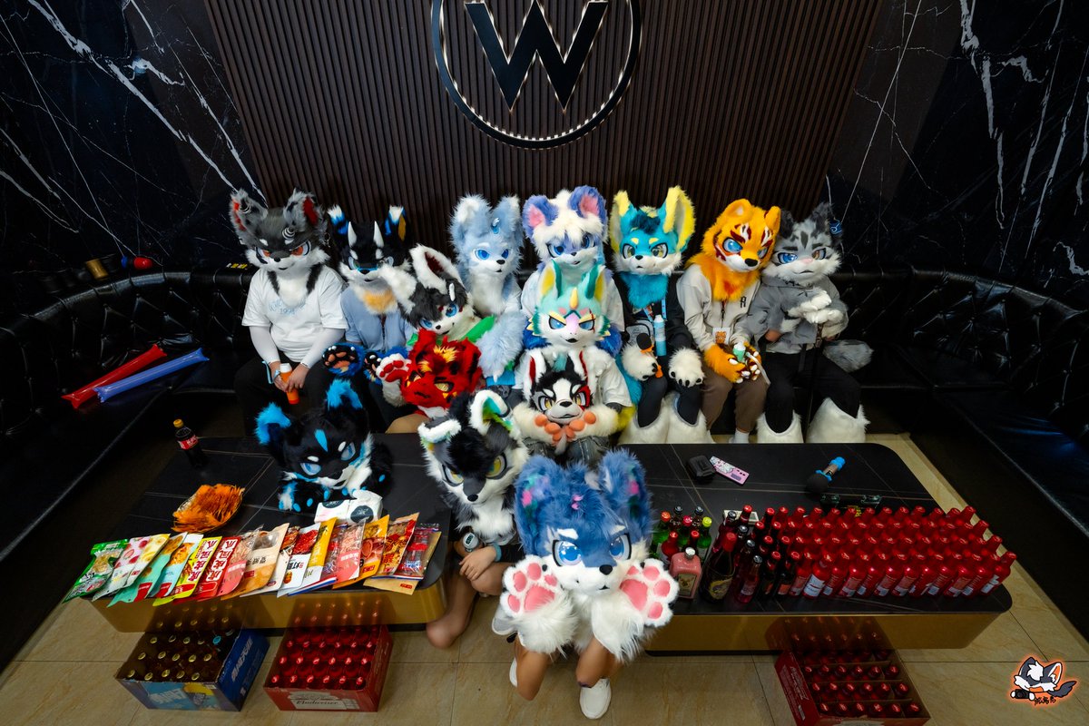 The Cangpaifur one year anniversary internal gathering is over! It was a pleasure to see so many of the studio's fursuits together. Everyone is very easy to get along with! We have a great time!
Special thanks to 阿恒,  旅客君 and 塔卡 for accompanying us throughout the shooting.