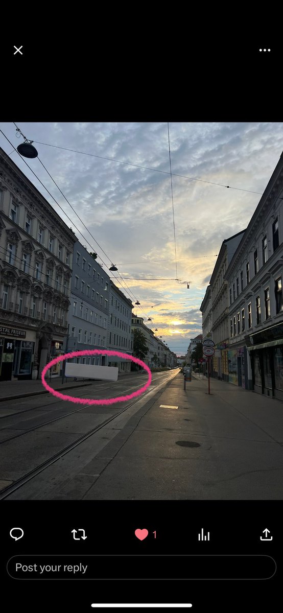 Jess Symonds tweet media