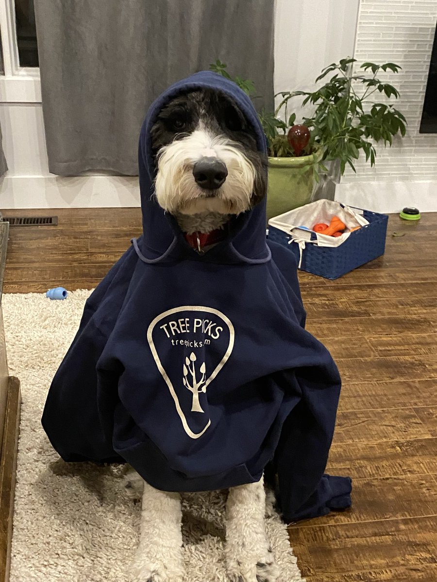 TreePicks tweet media