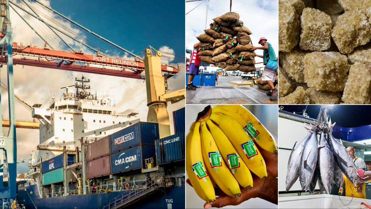 #DOSSIER 3/5. #Ports ultramarins : Des #exportations toujours insuffisantes 

➡️tinyurl.com/3n2vrz6f

⚓️Canne à sucre et poisson de #LaRéunion, rhum des #Antilles, perles de #Polynésie, matériels de transports de Guyane… Les exportations des territoires ultramarins vers
