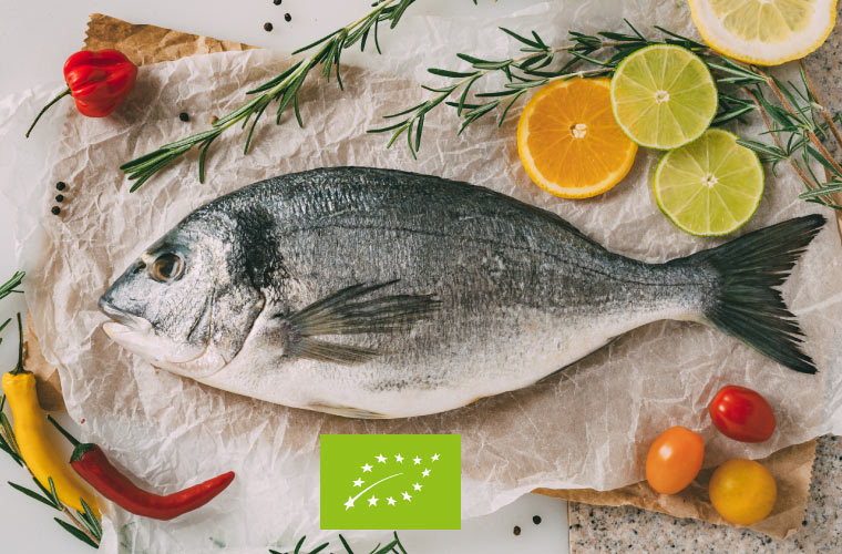 Según <a href="/feapinfo/">FEAP</a>, las políticas y regulaciones actuales hacen inviable económicamente la #acuicultura ecológica tinyurl.com/yc8cnmc9