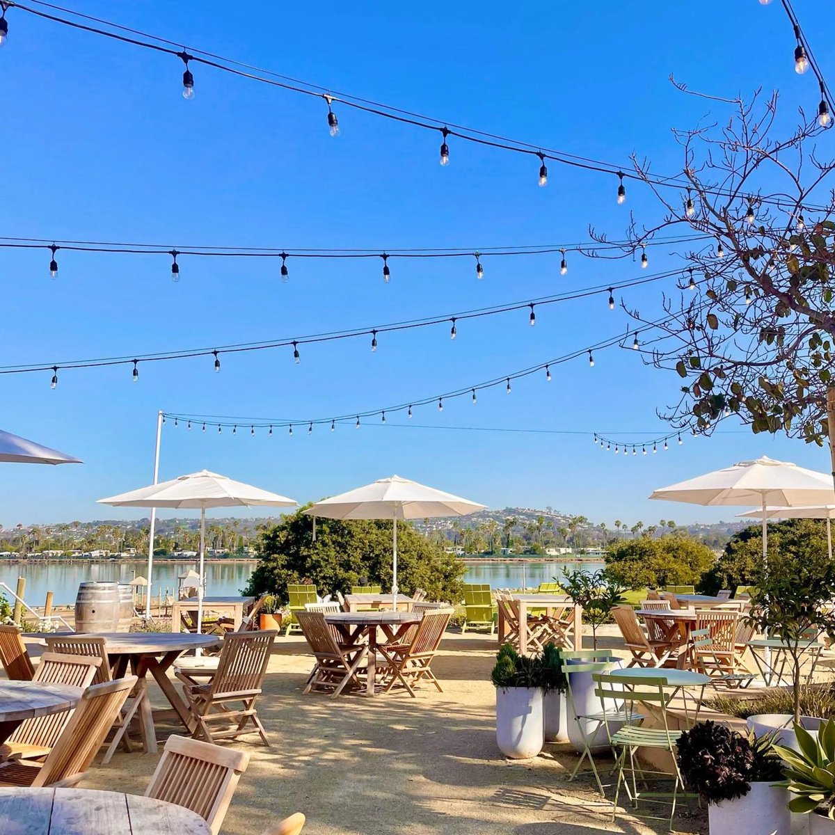 Mike Krenn tweet media