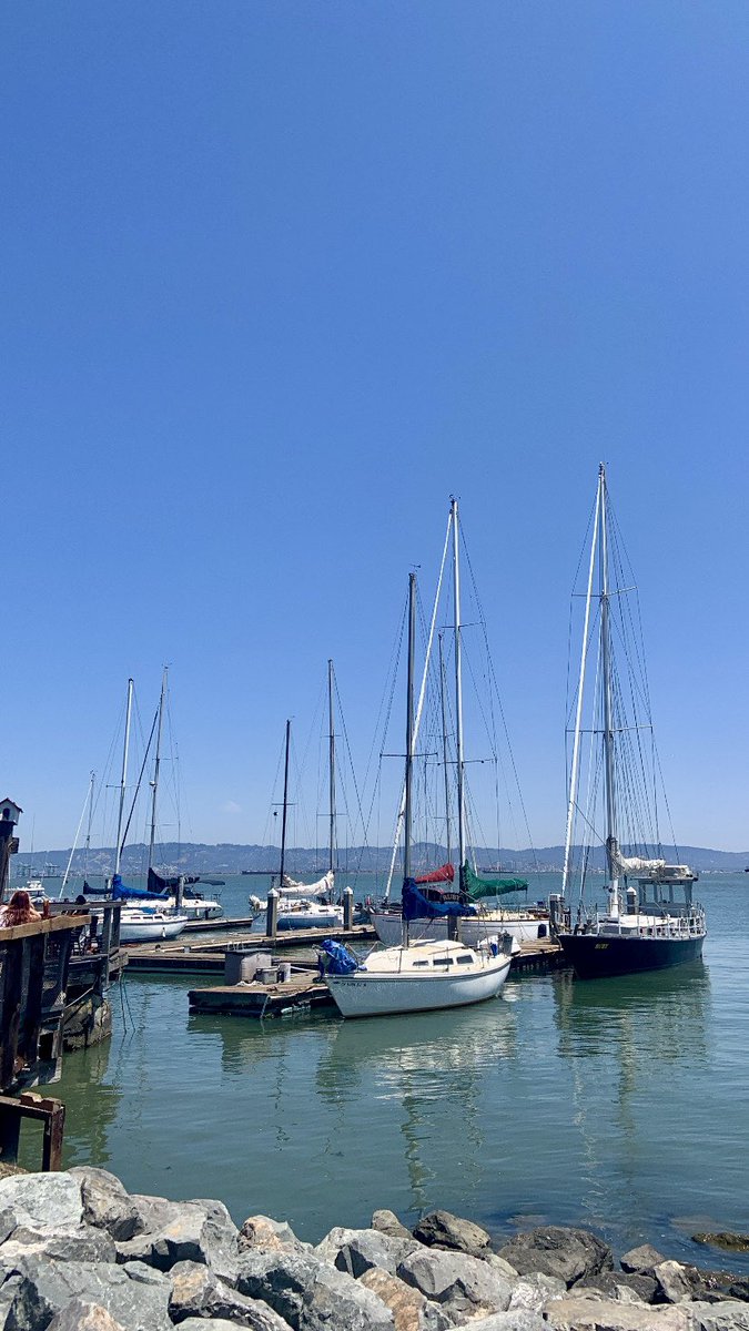 HeatherHolmesTV's tweet photo. Awesome run along the bay today! I logged 4.91 miles &amp; could have easily run more if I didn’t need to get to work. By the way, I’m back with @MibachKTVU at 10 &amp; 11. I feel like running when it’s warmer out makes me mentally tougher. Thoughts? #RunningInSanFrancisco #RunningRoute https://t.co/Hw1UhJHUUZ