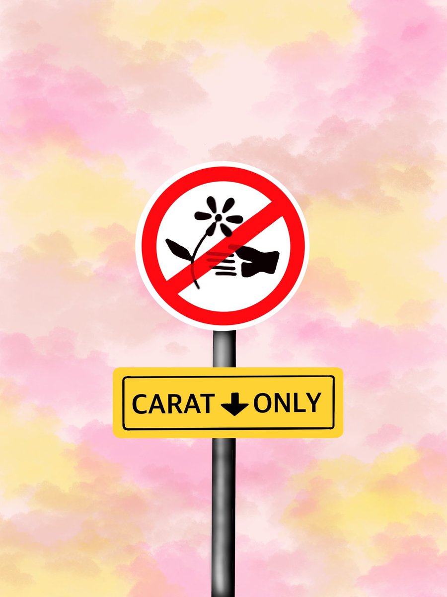 svthamster's tweet photo. it's called a CARATland for a REASON. https://t.co/GVfc3VSXA9