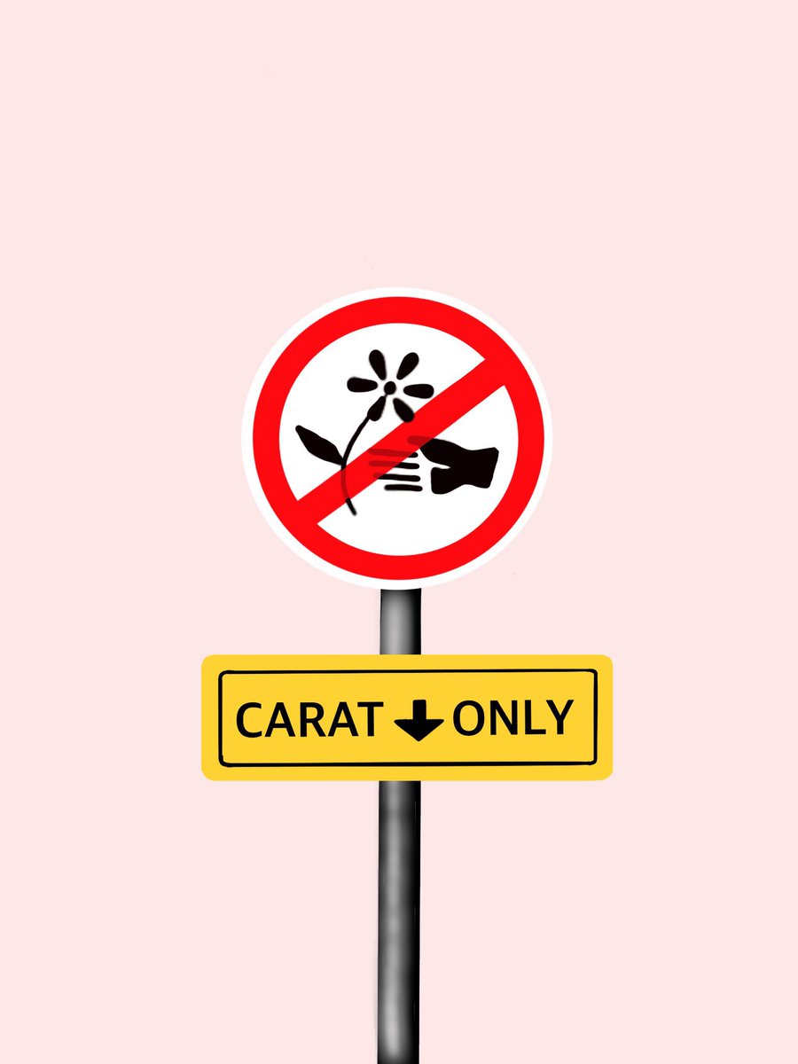 svthamster's tweet photo. it's called a CARATland for a REASON. https://t.co/GVfc3VSXA9