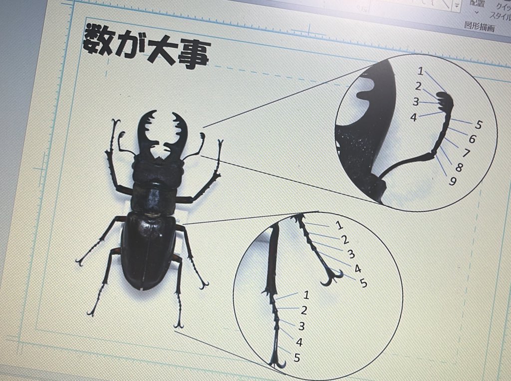 スライド一部 
