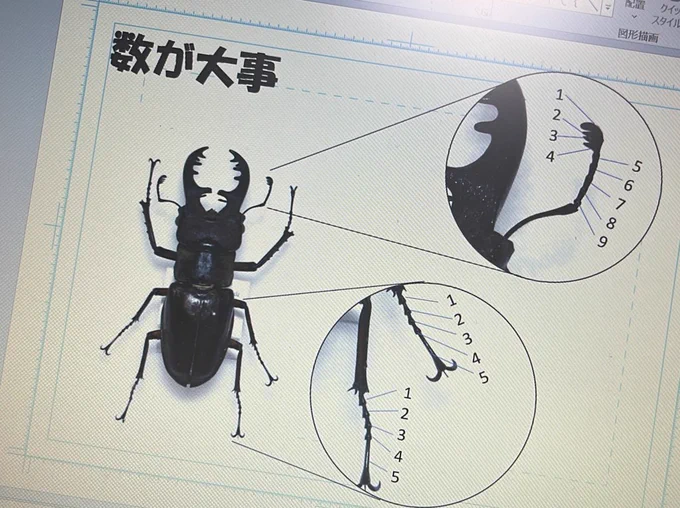スライド一部 