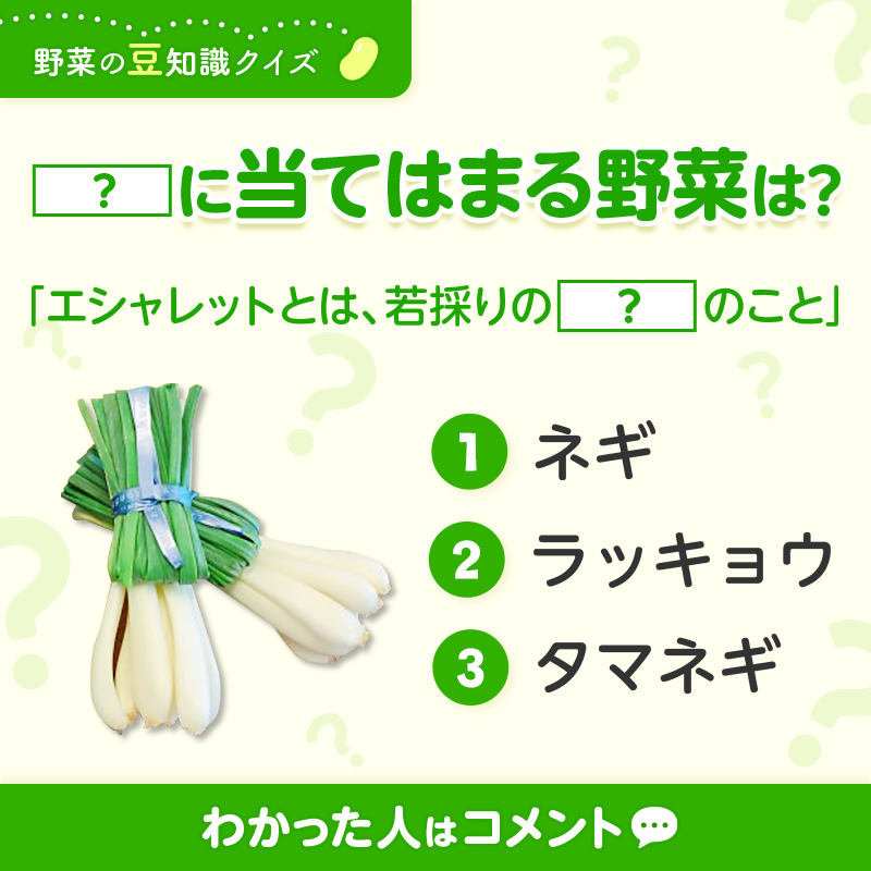 「便利野菜決定戦決勝」 便利野菜決定戦決勝」 便利野菜決定戦決勝」 IM Z Battle 2025 ROUND1