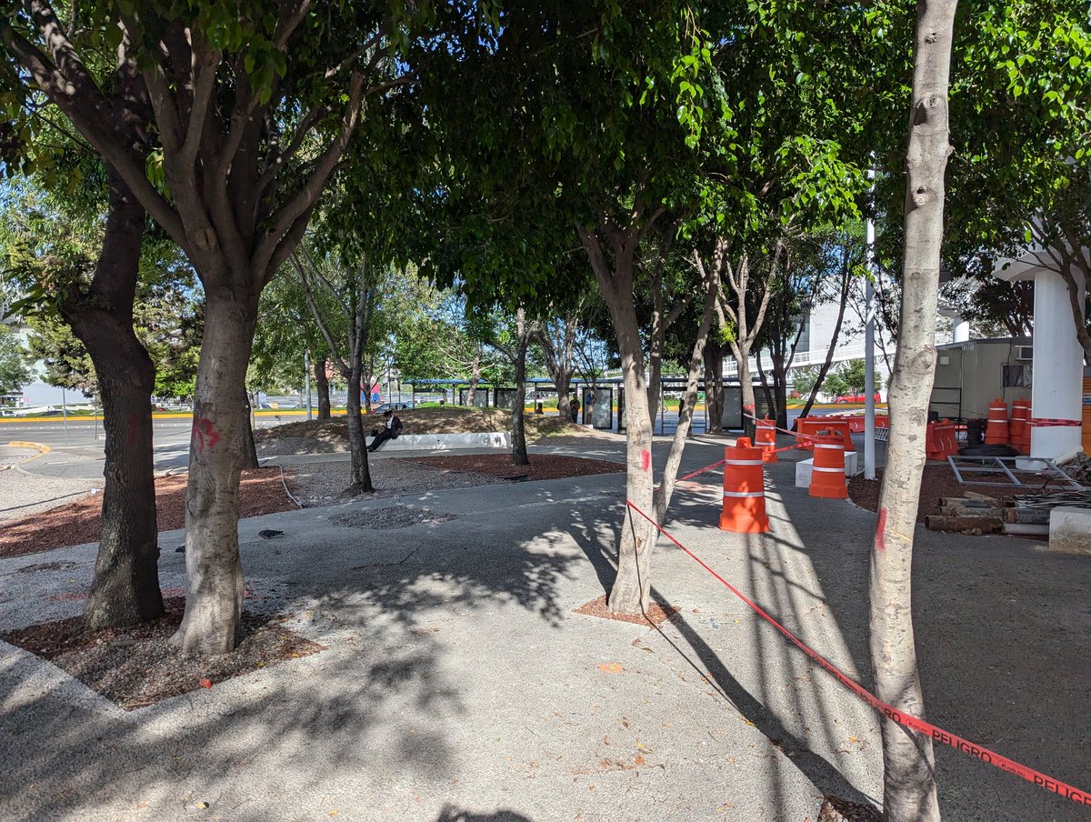 VJGG's tweet photo. @armentapuebla_ Celebra usted esto y el actual gobierno derribara más de 20 árboles para construir un puente innecesario en la zona de Angelópolis https://t.co/AKTqwhheJQ