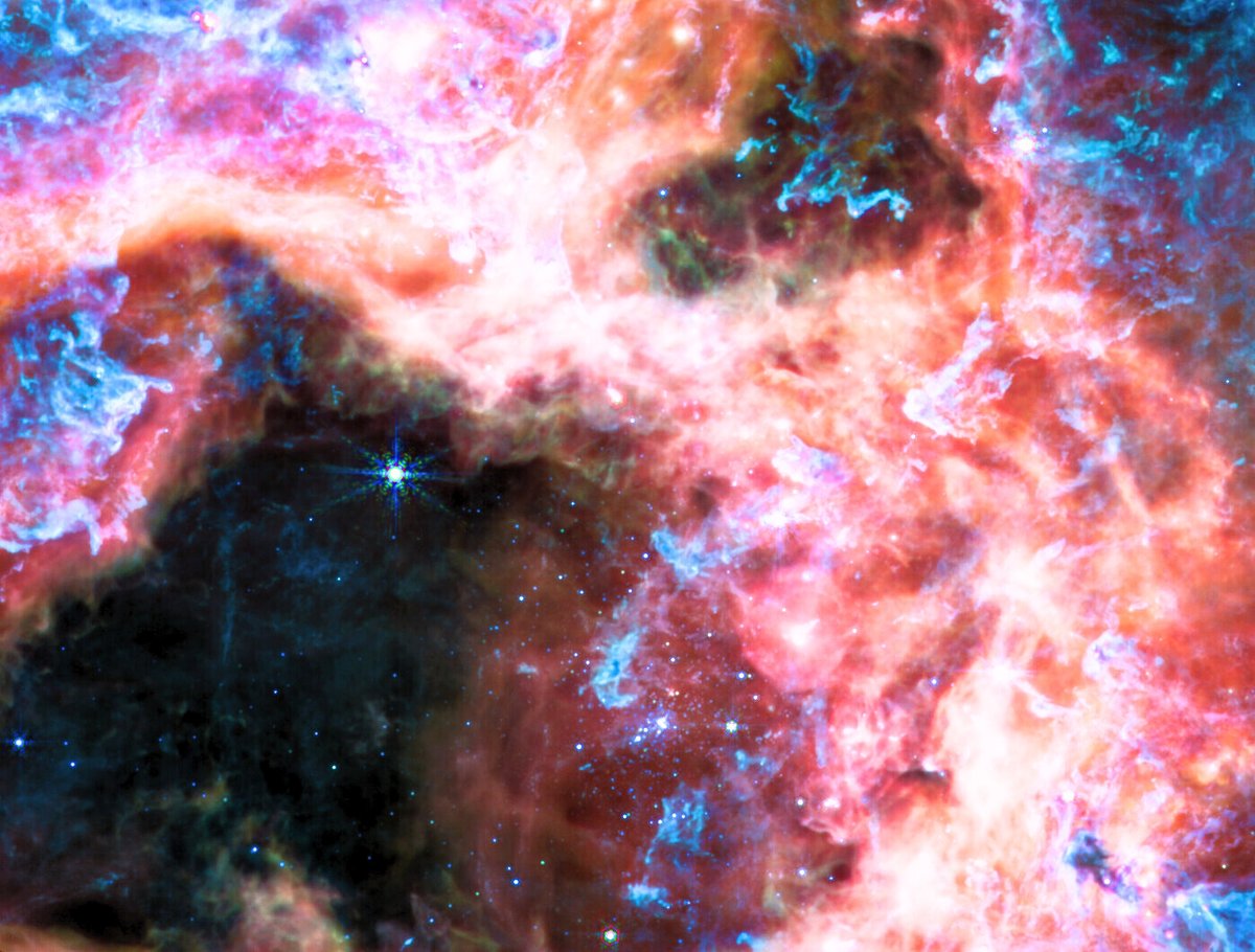 Astronomicaworl's tweet photo. A different view of the #Tarantula #Nebula full of #Protostars and hot gas clouds!🌌
#Cosmos #Science #Nature #space #Hubble #Jameswebb #spacenerd #Universe #telescope https://t.co/elAthIFOau