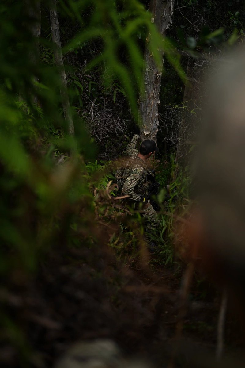 RIMPAC tweet media