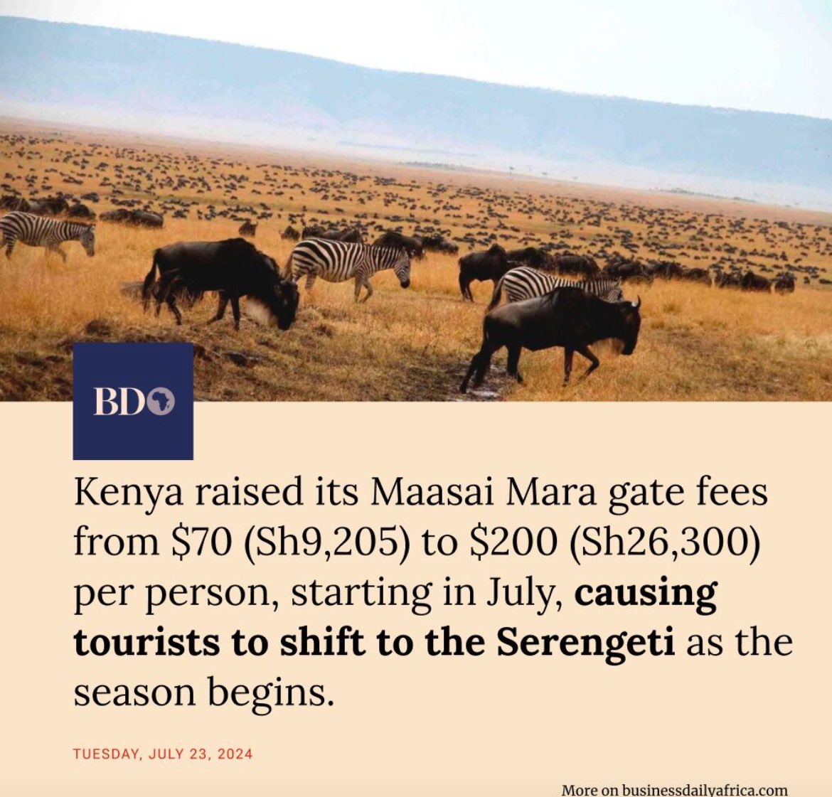 jamessmat's tweet photo. Kenya raised Maasai Mara gate fees, and the tourists simply shifted to Serengeti. 

Cause and effect in motion. https://t.co/Gx706Js47O
