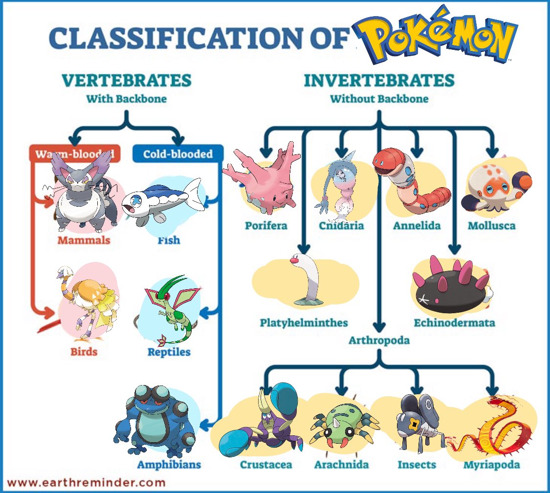 Every pokemon based of animal classification:

Thread 🧵🧵🪡🧶