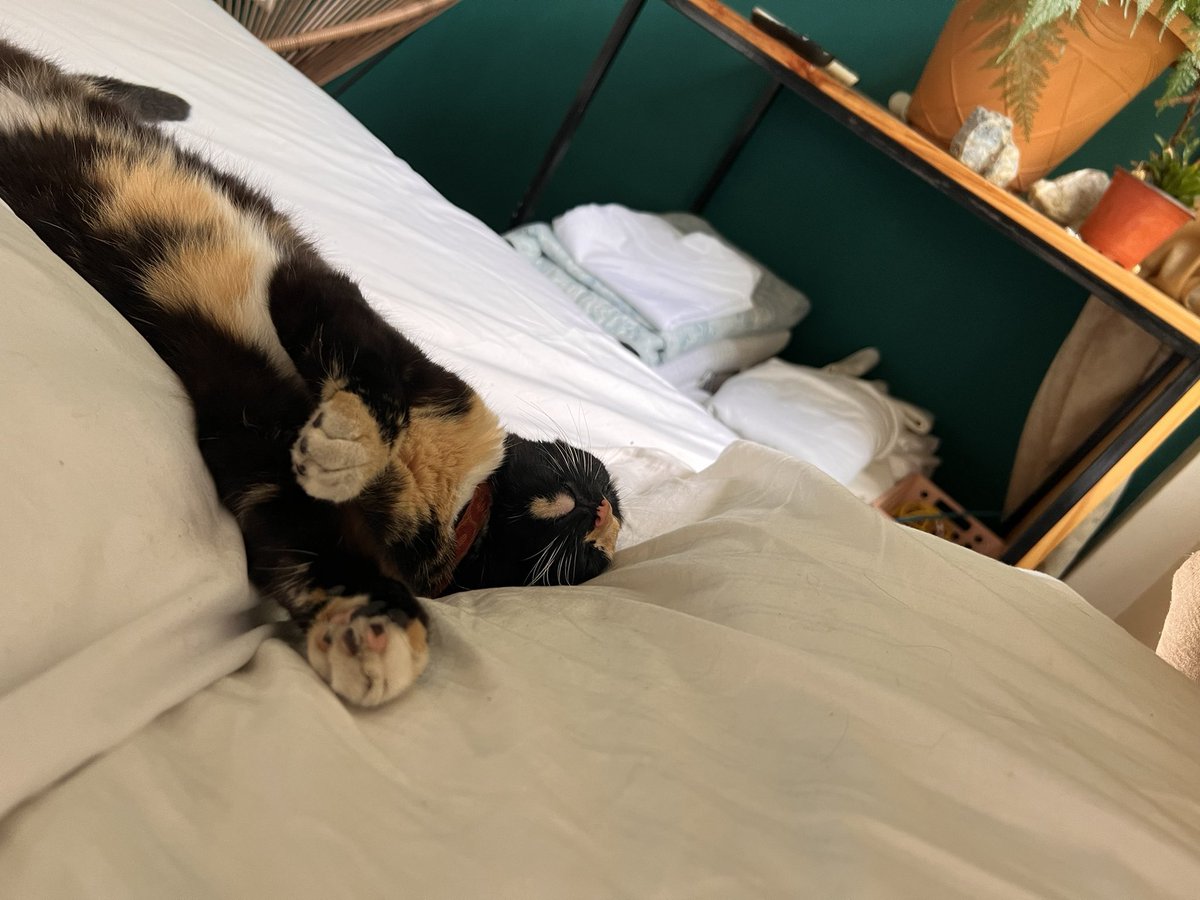 tariana (@mtapitax) on Twitter photo 