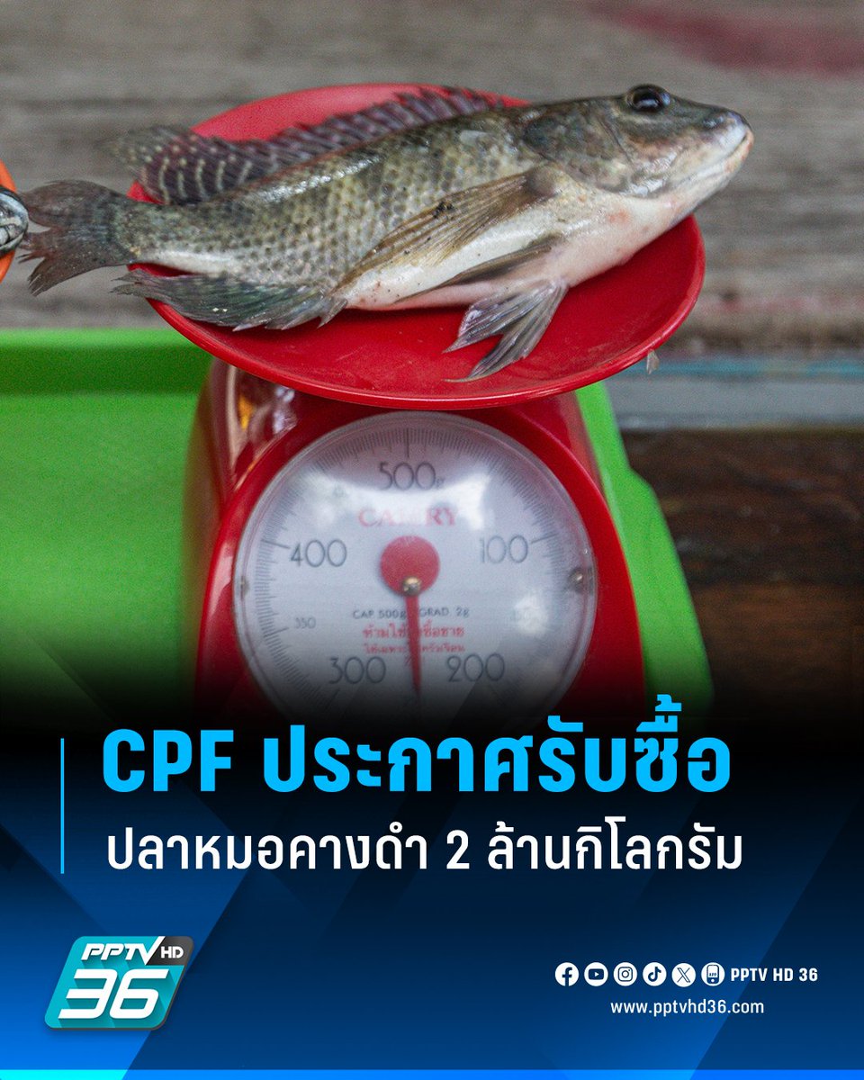 RedSkullxxx's tweet photo. เจ้าสัวประกาศรับซื้อ กก.ละ 15 บาท กูไปหาอวนลากแปป https://t.co/5lir2Zk0Br