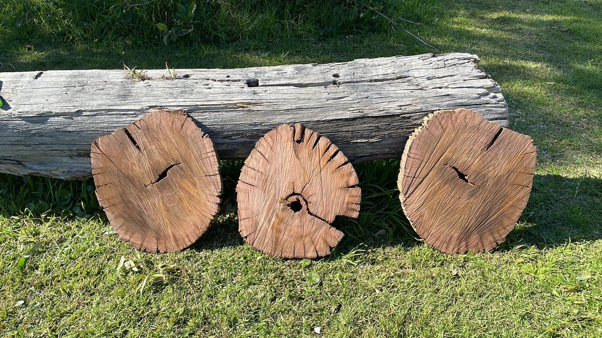 Danielle Verdon-Kidd tweet media