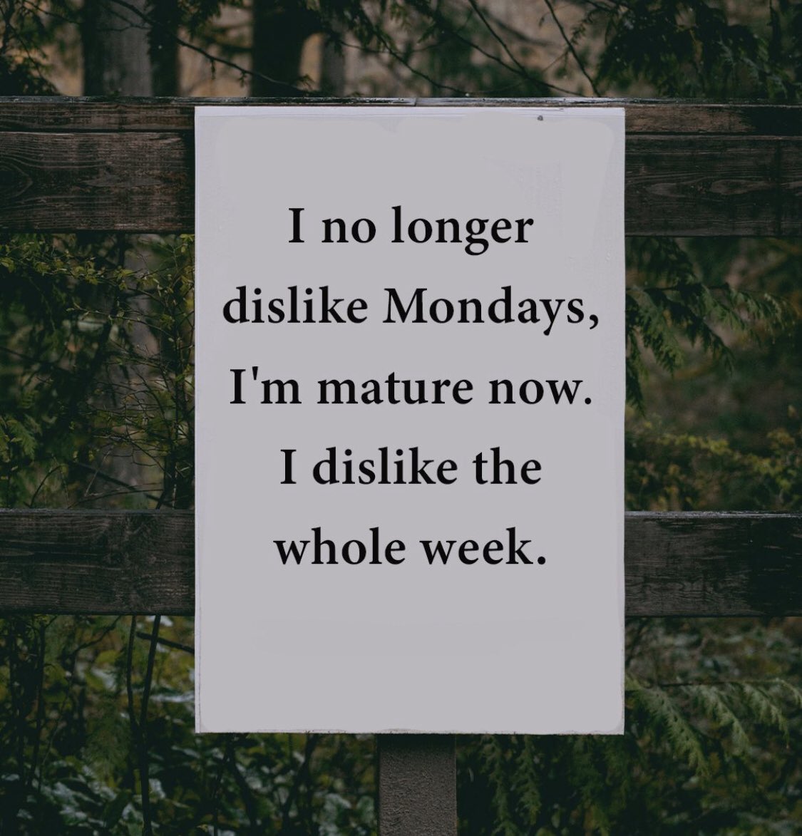 introvert memes (@introvertsmemes) on Twitter photo 