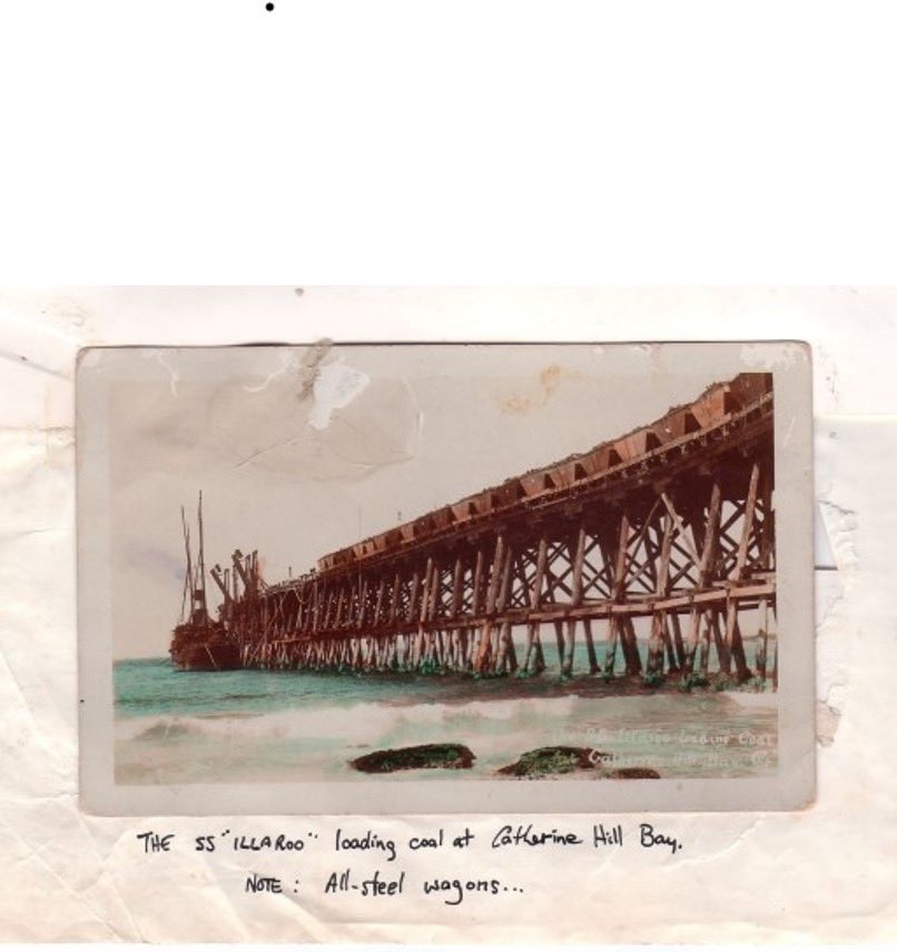 Danielle Verdon-Kidd tweet media