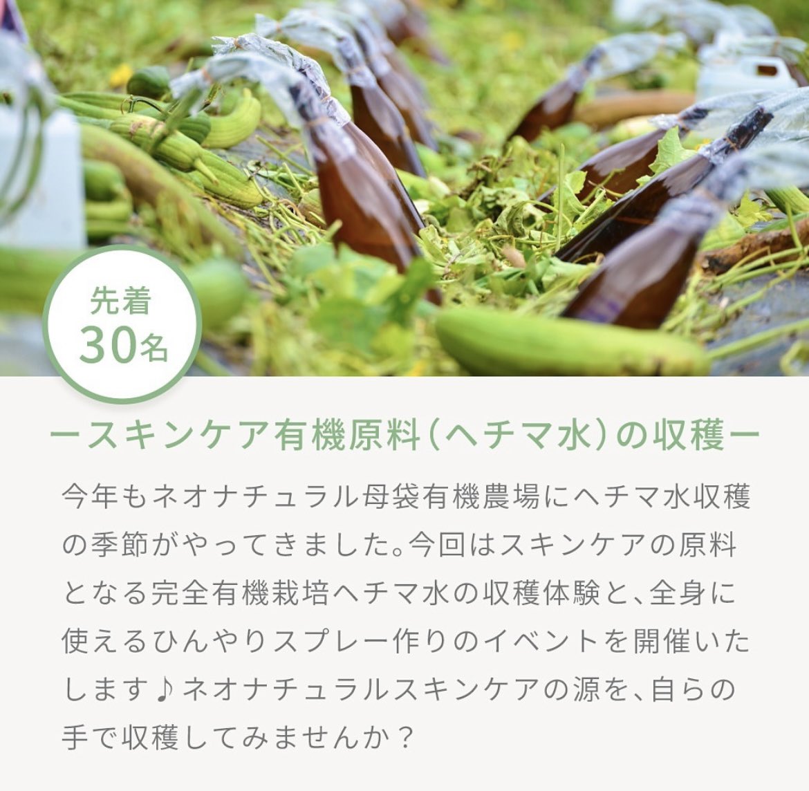 neonatural's tweet photo. 【8/31（土）スキンケア原料収穫&amp;ひんやりスプレー作り体験会開催】

ネオナチュラルのスキンケアの原料でもあるヘチマ水の収穫体験を行います！

たくさんのご参加をお待ちしております♪

宿泊付きプランのお申し込みはこちらから
https://t.co/l4WTxe4OFe https://t.co/Gu654ZuLFK