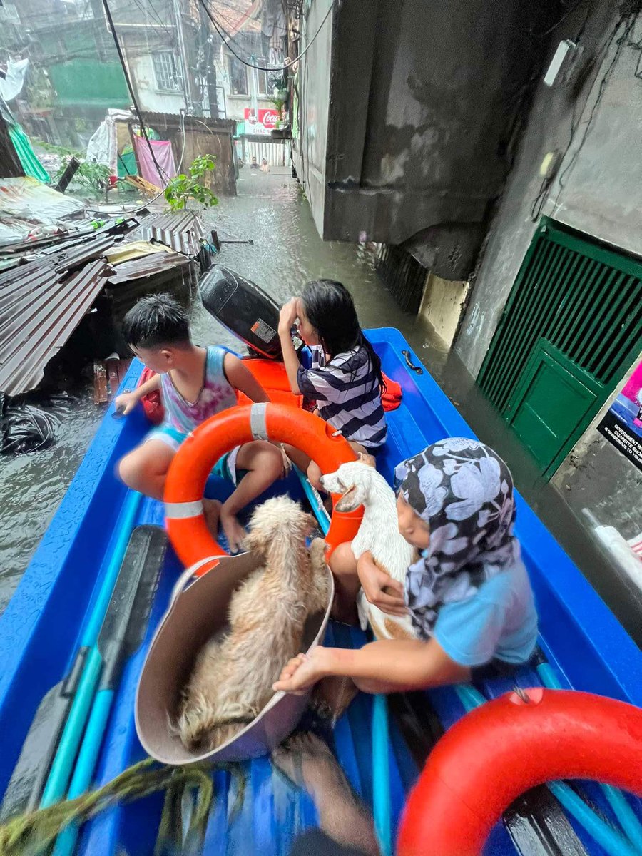 PLEASE MAKE SURE TO BRING YOUR PETS TO SAFETY 🥺

LOOK: The Manila Manila Disaster Risk Reduction Management Office helps rescue dogs during the onslaught of Typhoon #CarinaPH on Wednesday, July 24. | 📷: MDRRMO

•⁠ ⁠Visit inqnews.net/CarinaPH to stay updated with the
